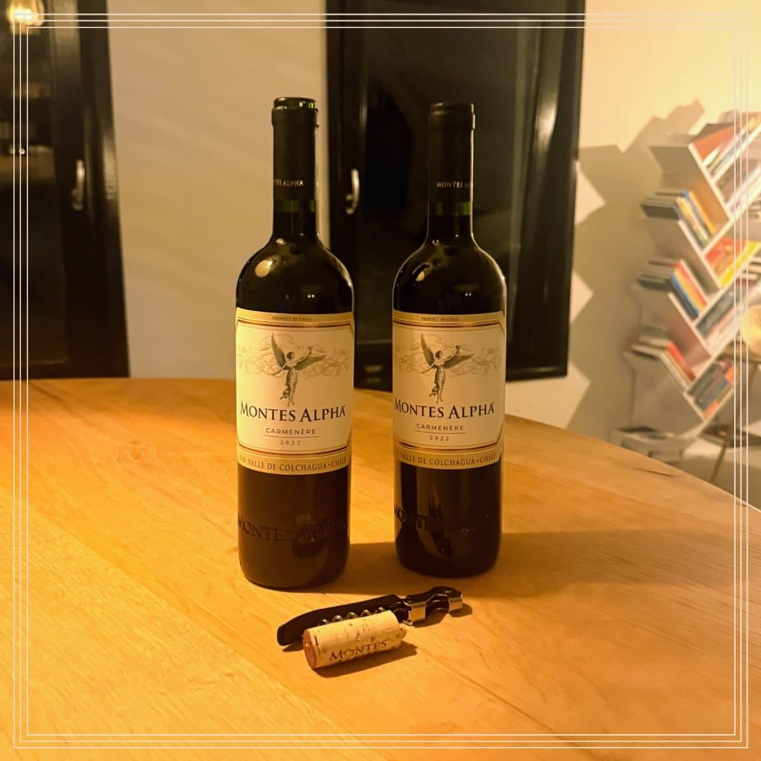 De juiste persoon op de juiste plek: onze tweede wijn was de Montes Alpha Carménère uit Chili. Een volle, zachte rode wijn met smaken van rijpe pruimen, donkere kersen, kruiden en een vleugje chocolade. Toen we bij de Vughtse Wijnkoperij ons thema vertelden, werd deze druif meteen genoemd. En terecht! Carménère werd jarenlang aangezien voor Merlot. Pas toen zijn ware identiteit werd ontdekt, konden wijnmakers zijn unieke kwaliteiten optimaal benutten.
We sloten de avond af met de welbekende Salentein Barrel Selection Malbec uit Argentinië, eveneens afkomstig van de Vughtse Wijnkoperij. Een krachtige, soepele rode wijn met tonen van bramen, pruimen, specerijen en subtiele houtinvloeden. Malbec komt oorspronkelijk uit Frankrijk, maar vond in Argentinië de omstandigheden waarin de druif helemaal tot zijn recht kwam. Drie wijnen, drie verhalen en één mooie boodschap: talent ontdekken, herkennen en op de juiste plek laten groeien.
Een extra bedankje aan de @vughtsewijnkoperij voor het meedenken en de perfecte aansluiting bij ons thema!